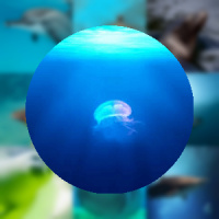 2048 Lovable Creatures